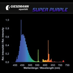 Giesemann 39W 36" T5 HO Lamp