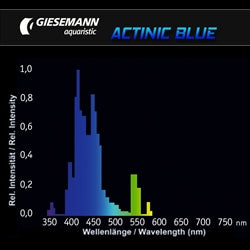 Giesemann 39W 36" T5 HO Lamp